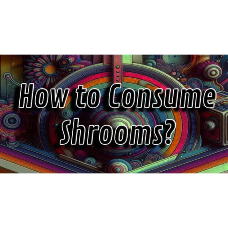 How to Consume Shrooms?